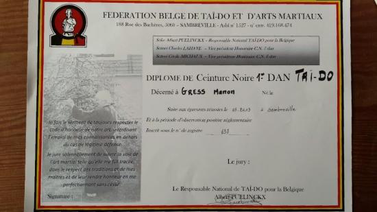 diplôme 1 er DAN  